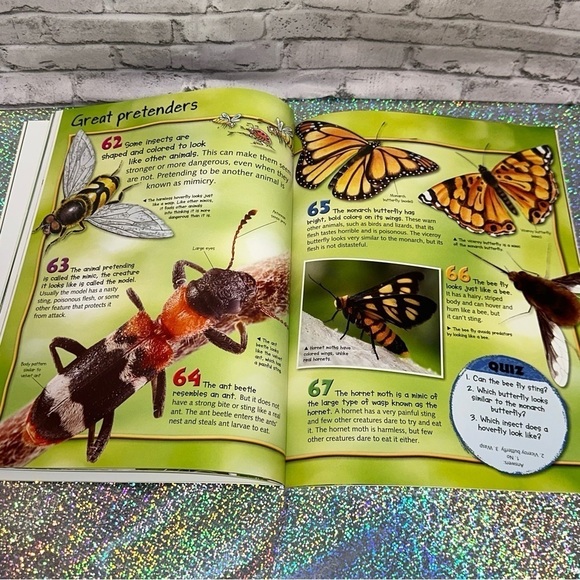 100 Facts BUGS Book Projects Quizzes Fun Facts Cartoons Miles Kelly Publishing - Picture 10 of 12